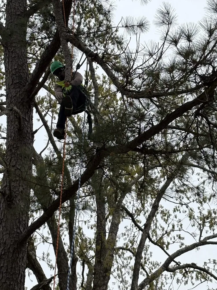 Custom residential landscaping in Belmont, MS - Home to Heaven Concepts