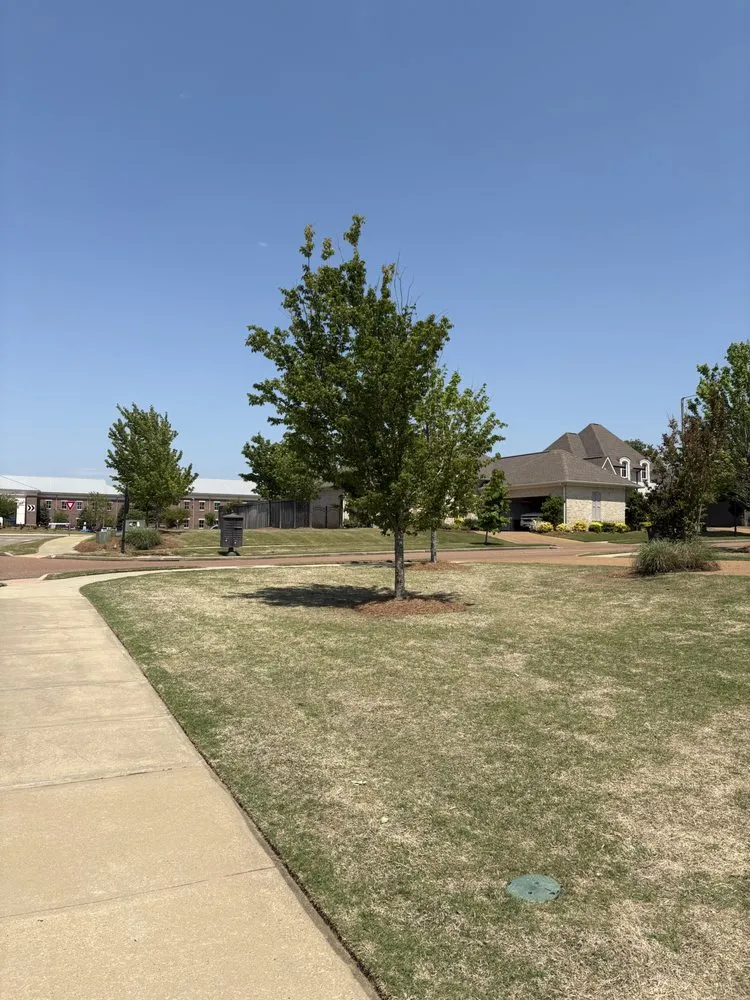 Top-rated lawn mowing service for beautiful yards across Belmont, MS - Home to Heaven Concepts