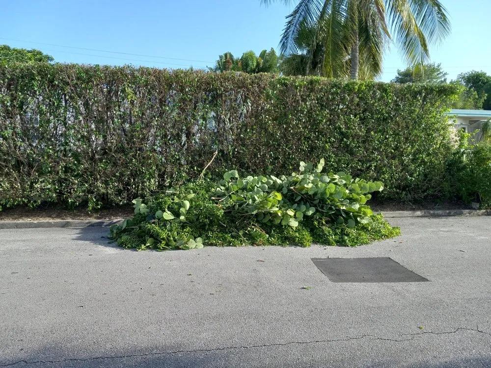 Professional lawn mowing service with custom design across West Palm Beach, FL - Home Turf Lawn Care