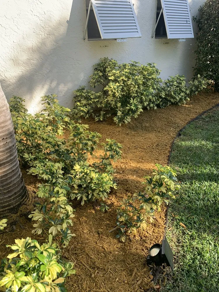 Trusted residential landscaping in West Palm Beach, FL by Home Turf Lawn Care