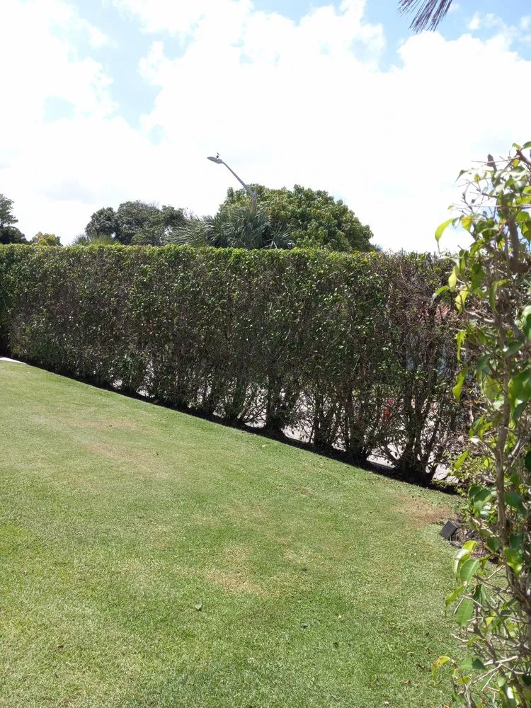Local landscape design in West Palm Beach, FL by Home Turf Lawn Care
