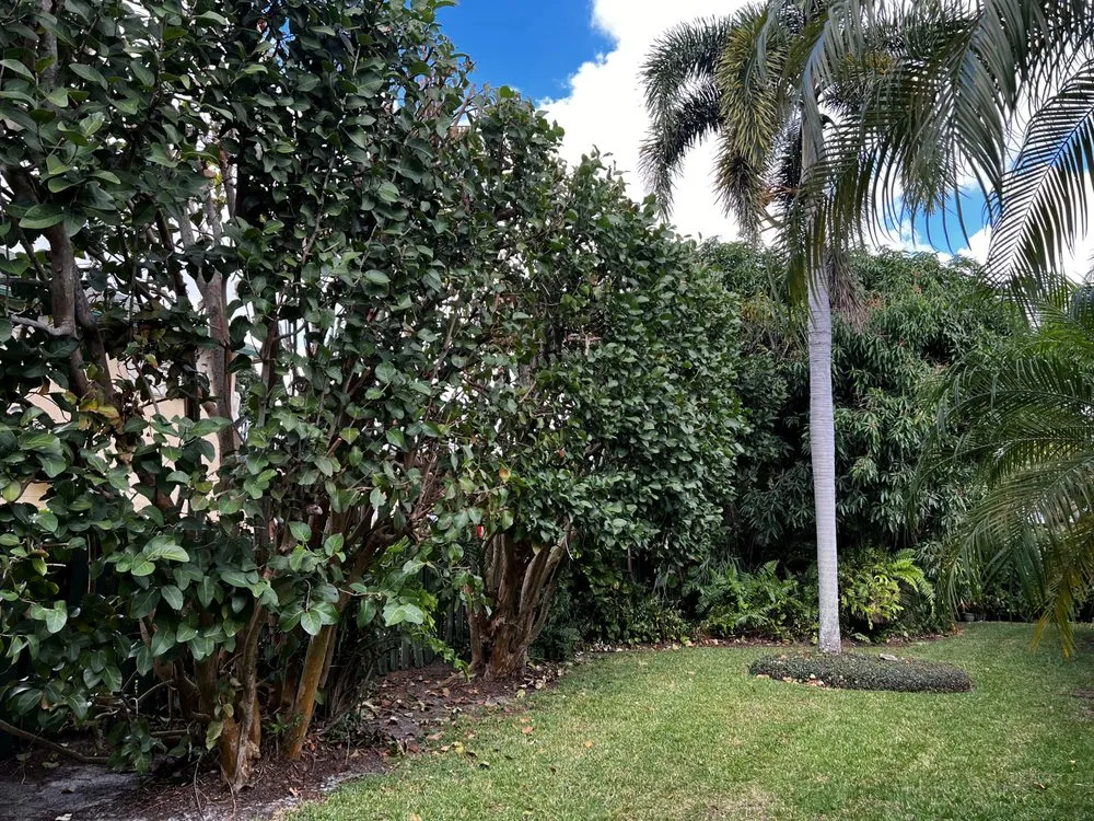 Reliable landscape installation near you across West Palm Beach, FL - Home Turf Lawn Care