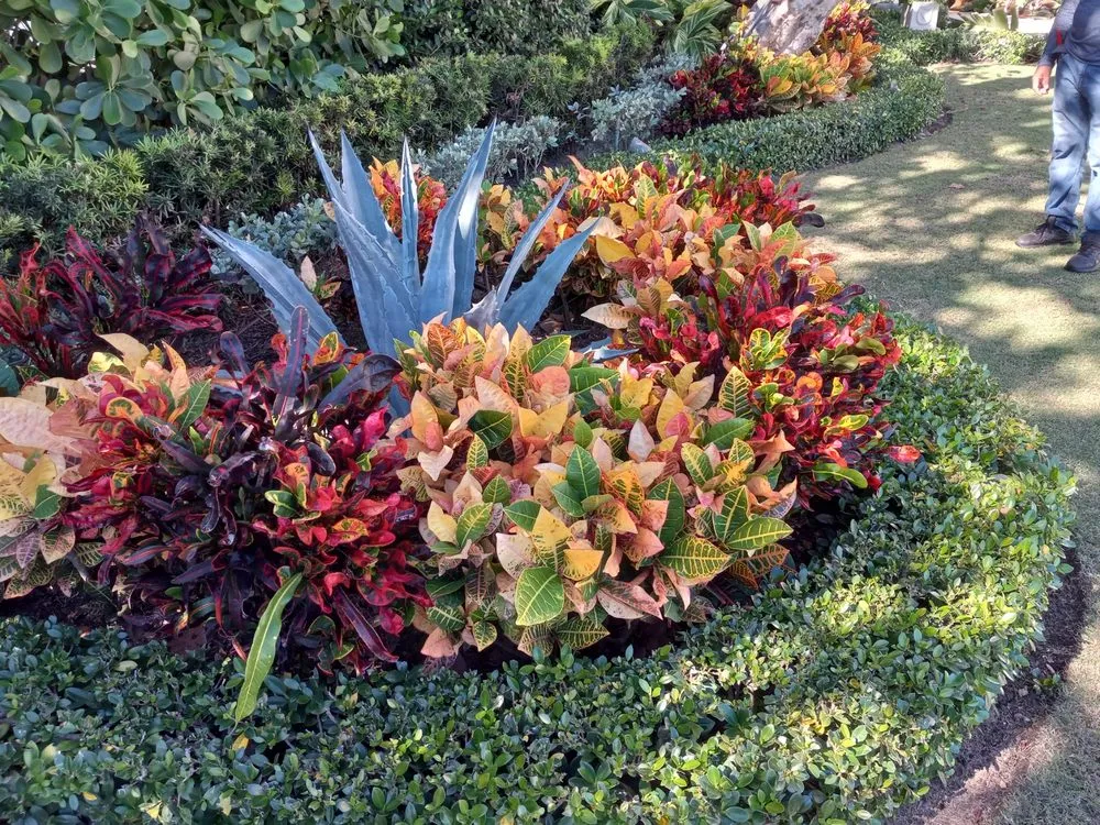 Trusted lawn care service in West Palm Beach, FL - Home Turf Lawn Care