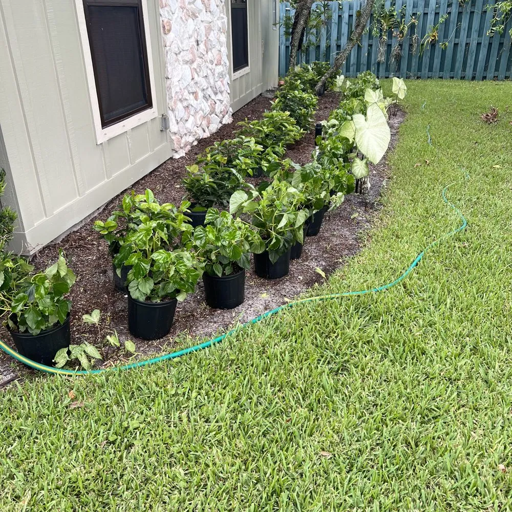 Reliable residential landscaping experts serving West Palm Beach, FL - Home Turf Lawn Care