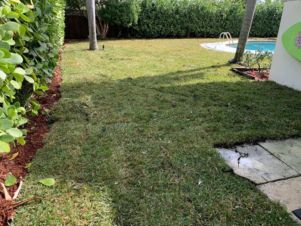 Local lawn mowing service experts serving West Palm Beach, FL - Home Turf Lawn Care