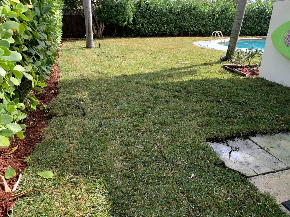 Affordable landscaping services in West Palm Beach, FL - Home Turf Lawn Care