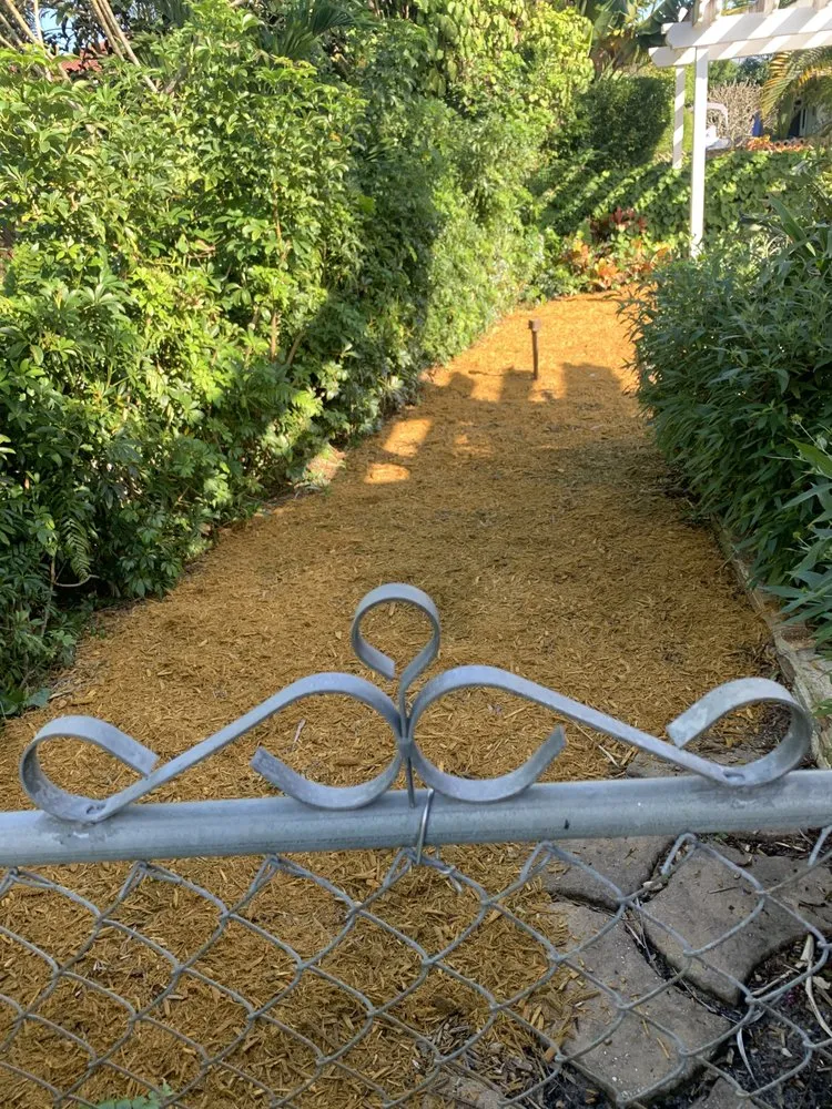 Affordable yard maintenance for year-round maintenance in West Palm Beach, FL by Home Turf Lawn Care