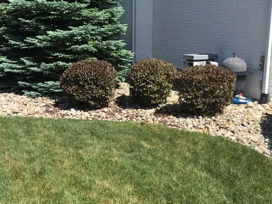 Home Turf Lawn Services Logo