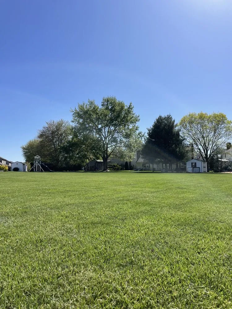 Professional yard cleanup service with custom design across Dover, PA - Home Turf Mowing