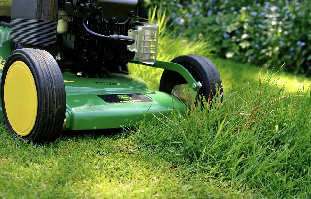 Top-rated yard cleanup service for homes in Aransas Pass, TX by Home Yarders