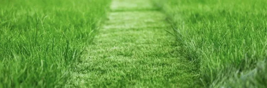 Professional yard cleanup service for outdoor upgrades across Aransas Pass, TX - Home Yarders