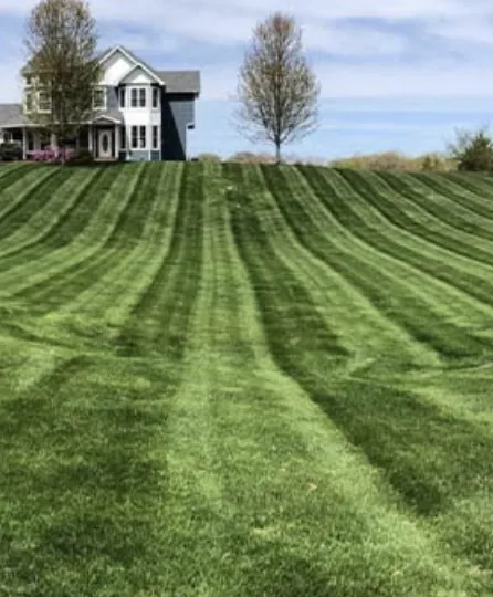 Custom yard cleanup service in Aransas Pass, TX - Home Yarders