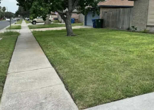 Affordable garden landscaping for outdoor upgrades across Aransas Pass, TX - Home Yarders