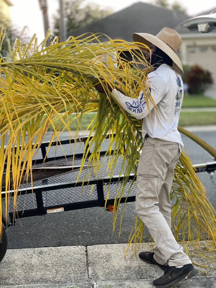 Local residential landscaping in Lakeland, FL - Home360PropertySolutions