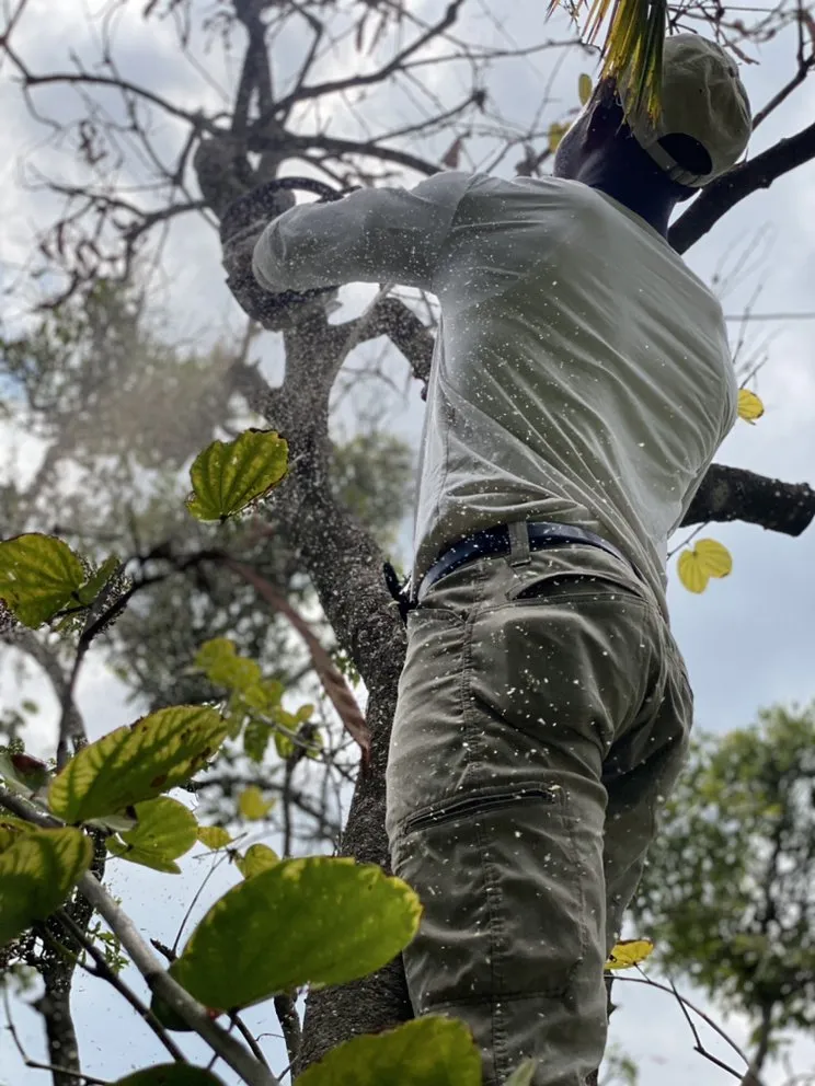 Professional garden landscaping for outdoor upgrades across Lakeland, FL - Home360PropertySolutions