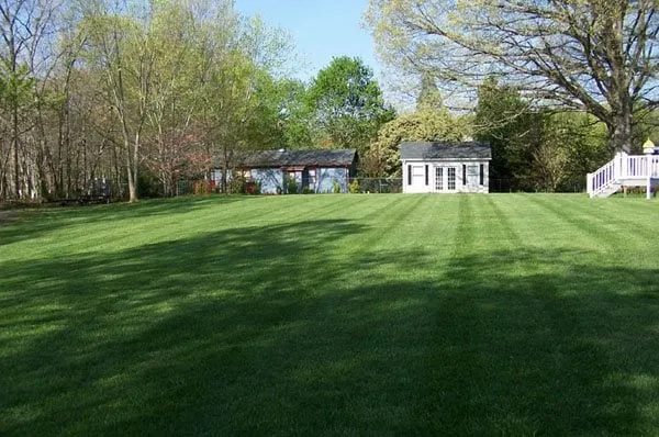 Affordable lawn mowing service in Asheboro, NC - Homefield Advantage