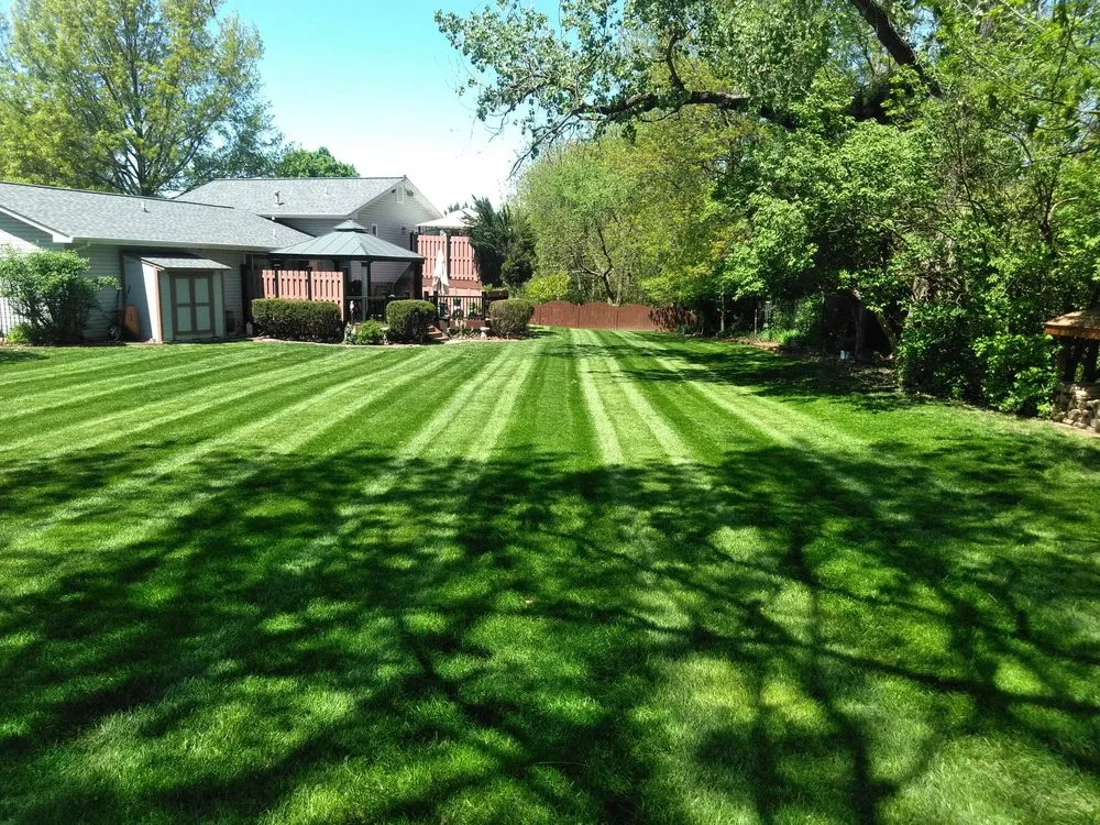 Professional landscaping services in De Soto, MO - Homefield Services