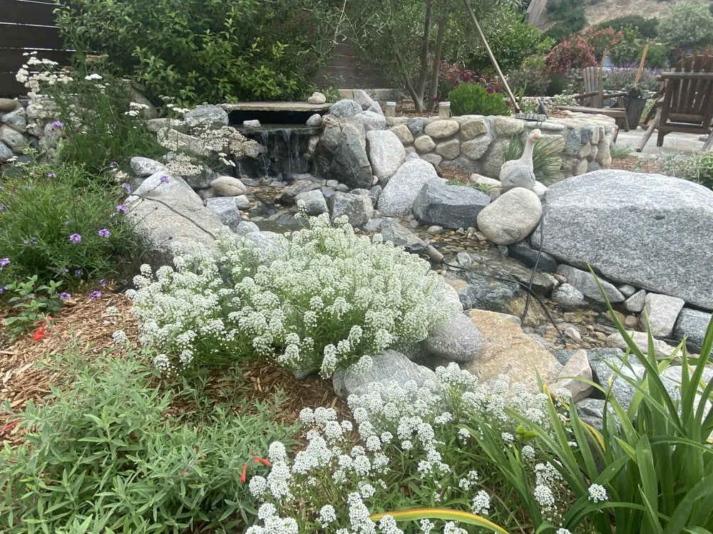 Professional landscape design experts serving Encinitas, CA - Homegrown Bounty Landscapes