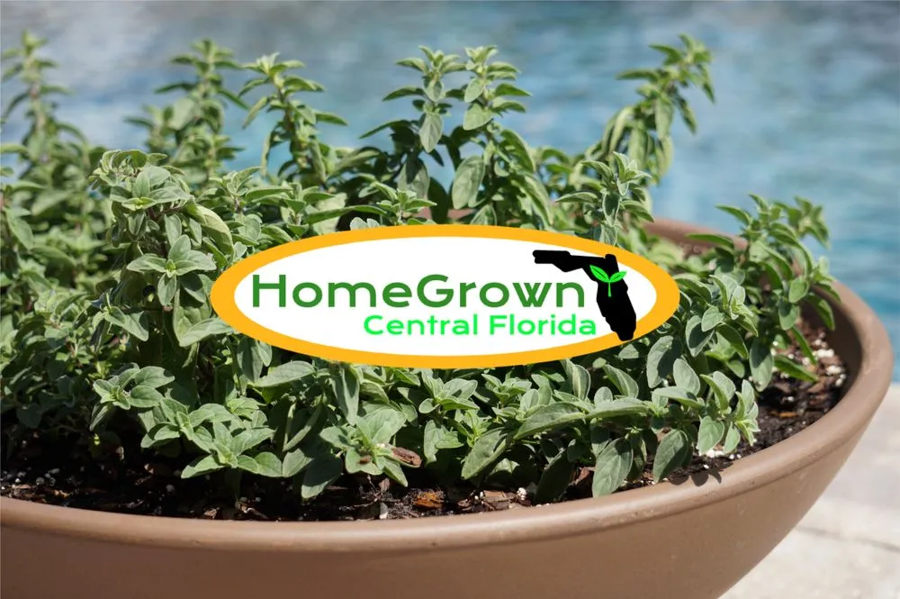 Expert residential landscaping in Lakeland Highlands, FL by HomeGrown Central Florida