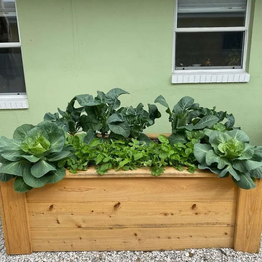 Local yard maintenance for outdoor upgrades in Brooksville, FL by Homegrown Greens