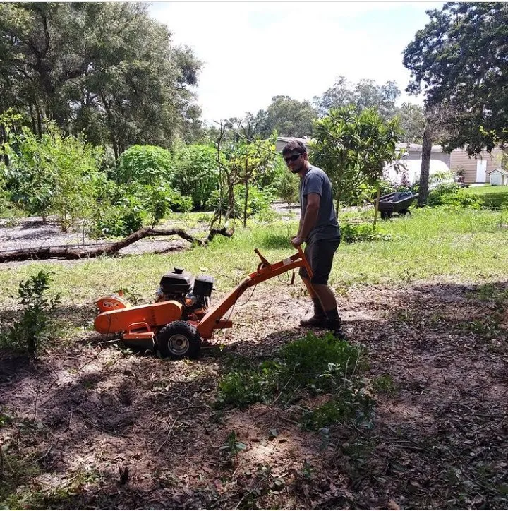 Custom landscape installation for homes in Brooksville, FL by Homegrown Greens