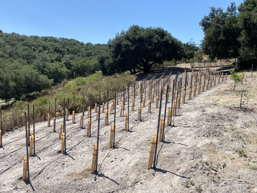 Reliable residential landscaping for outdoor upgrades across San Luis Obispo, CA - Homegrown Havens Building