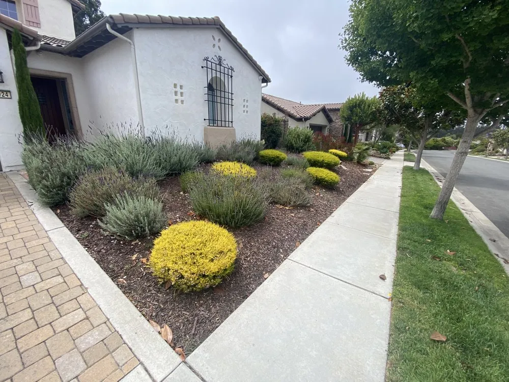 Reliable residential landscaping experts serving San Luis Obispo, CA - Homegrown Havens Building
