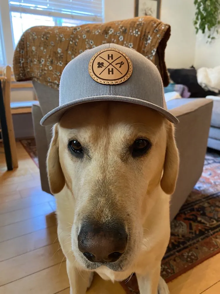 Trusted yard maintenance in San Luis Obispo, CA by Homegrown Havens Building