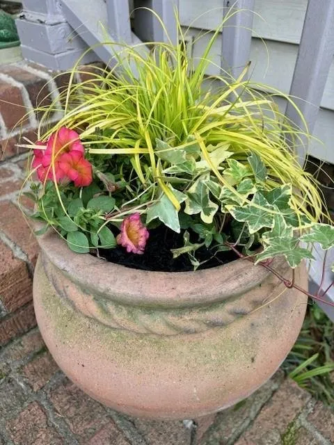 Professional landscape design in Lexington, SC - Homegrown Landscaping & Design