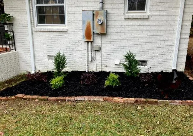 Top-rated landscape installation experts serving Lexington, SC - Homegrown Landscaping & Design