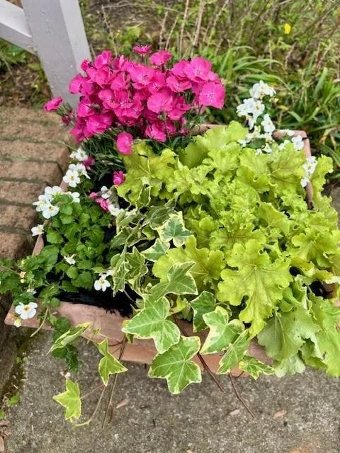 Reliable lawn mowing service in Lexington, SC - Homegrown Landscaping & Design