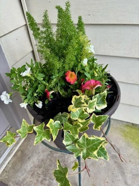 Top-rated garden landscaping near you in Lexington, SC by Homegrown Landscaping & Design