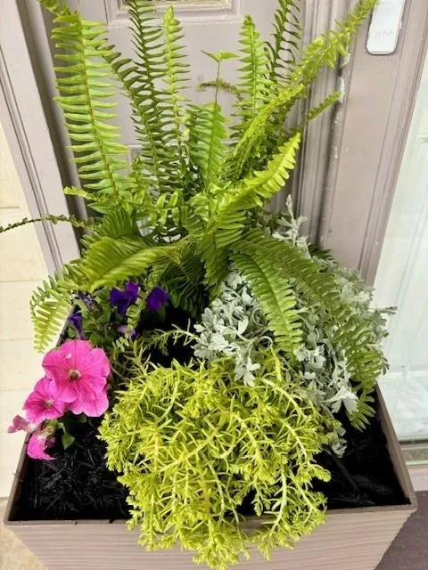 Affordable outdoor landscaping for residential properties across Lexington, SC - Homegrown Landscaping & Design