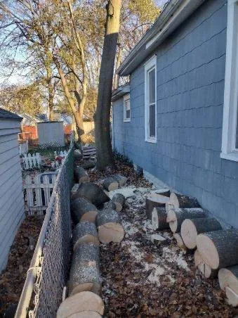 Reliable yard cleanup service in Mulliken, MI - Homegrown longhaul