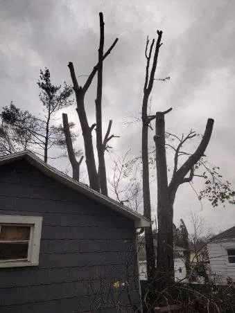 Local yard maintenance for homes in Mulliken, MI by Homegrown longhaul