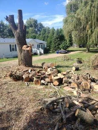 Top-rated yard cleanup service for year-round maintenance across Mulliken, MI - Homegrown longhaul