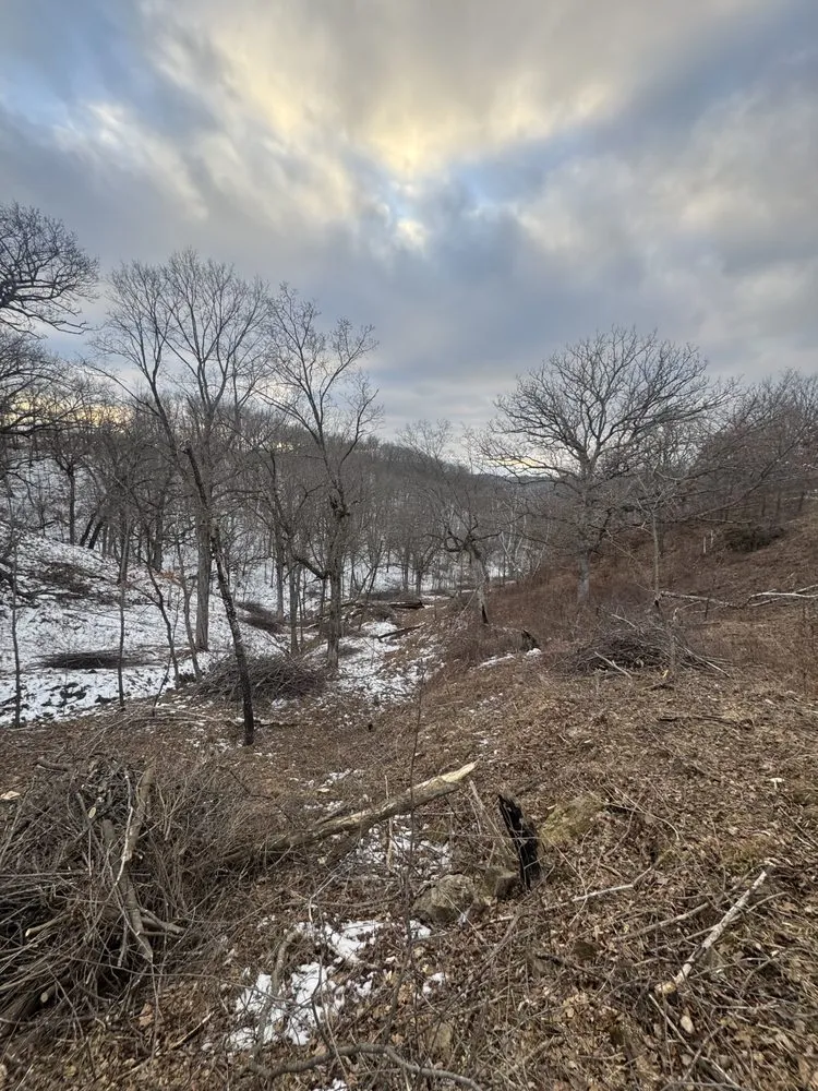 Custom lawn mowing service with custom design across New Glarus, WI - Homegrown Native Landscapes