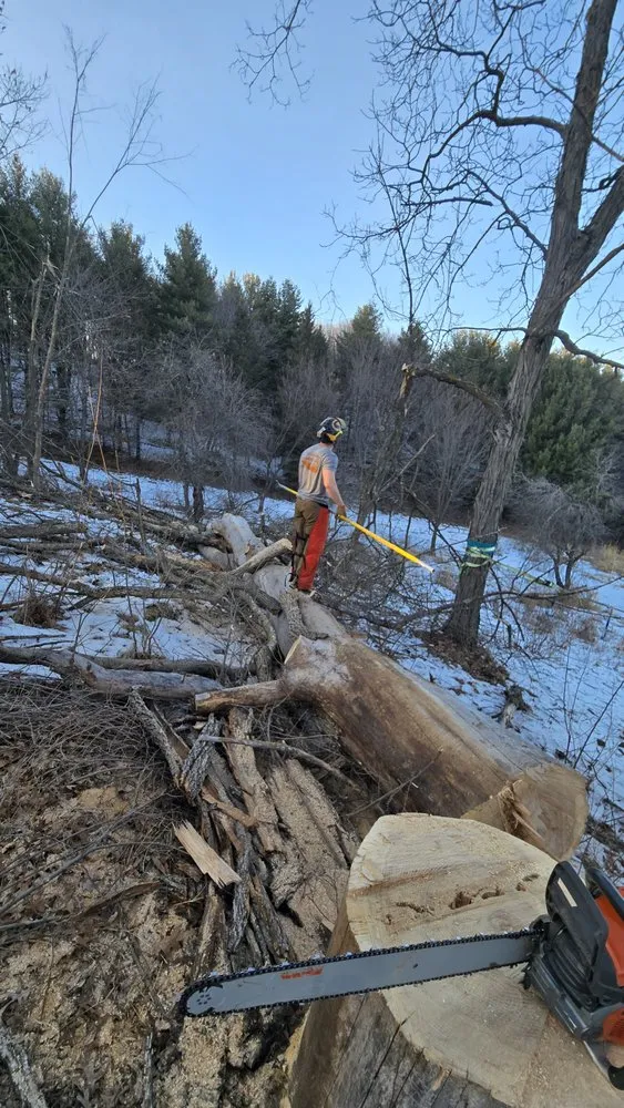 Local yard cleanup service for outdoor upgrades across New Glarus, WI - Homegrown Native Landscapes