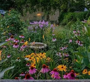 Professional lawn mowing service experts serving New Glarus, WI - Homegrown Native Landscapes