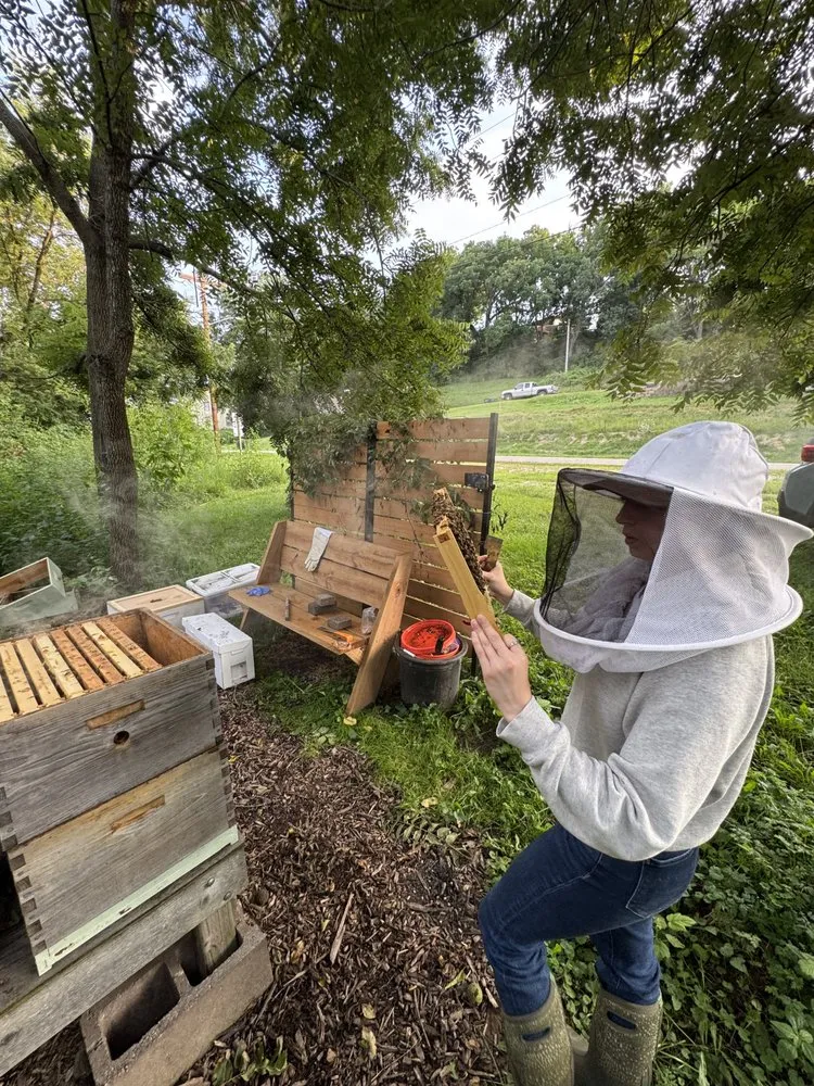 Local yard maintenance experts serving New Glarus, WI - Homegrown Native Landscapes