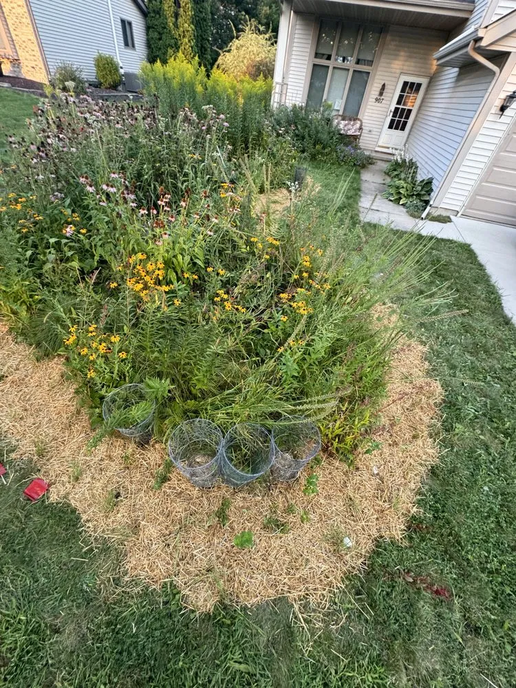 Professional garden landscaping in New Glarus, WI by Homegrown Native Landscapes