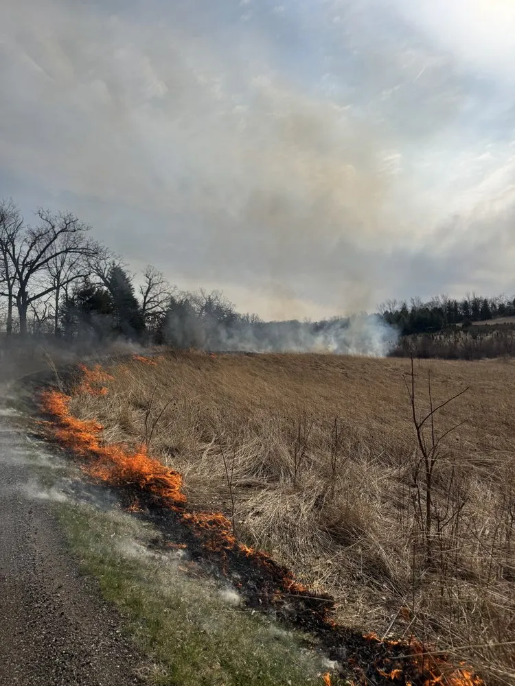 Professional landscaping services with custom design across New Glarus, WI - Homegrown Native Landscapes