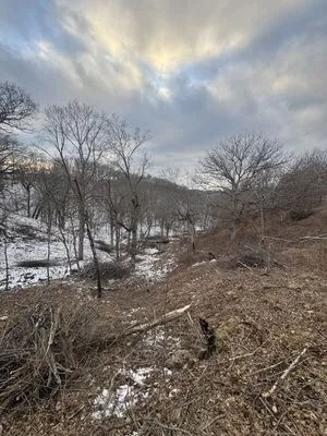 Homegrown Native Landscapes
