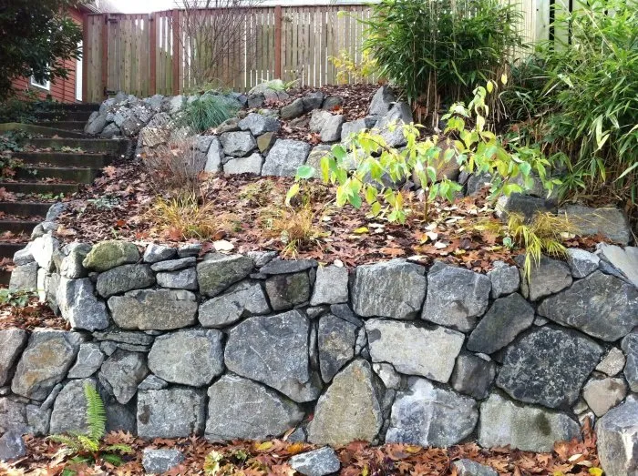 Reliable yard maintenance experts serving Seattle, WA - HomeGrown Organics