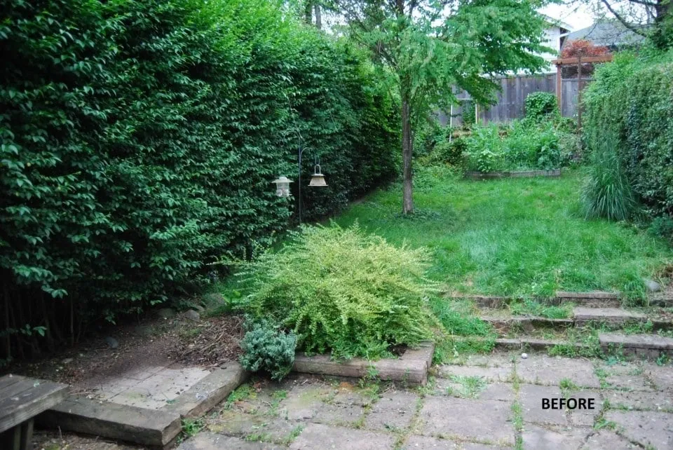 Local outdoor landscaping with custom design in Seattle, WA by HomeGrown Organics