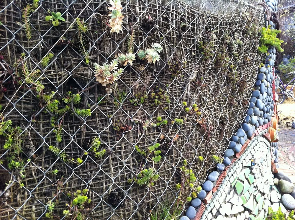 Trusted garden landscaping in Seattle, WA - HomeGrown Organics