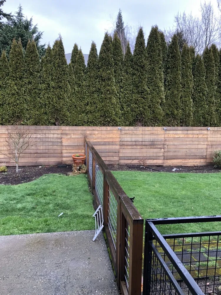 Custom yard cleanup service with custom design in Seattle, WA by HomeGrown Organics