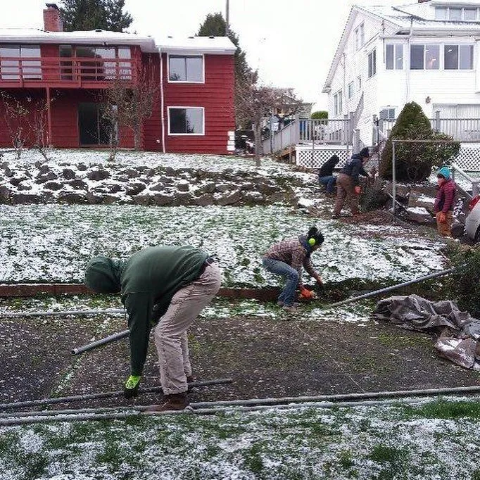 Expert outdoor landscaping in Seattle, WA by HomeGrown Organics