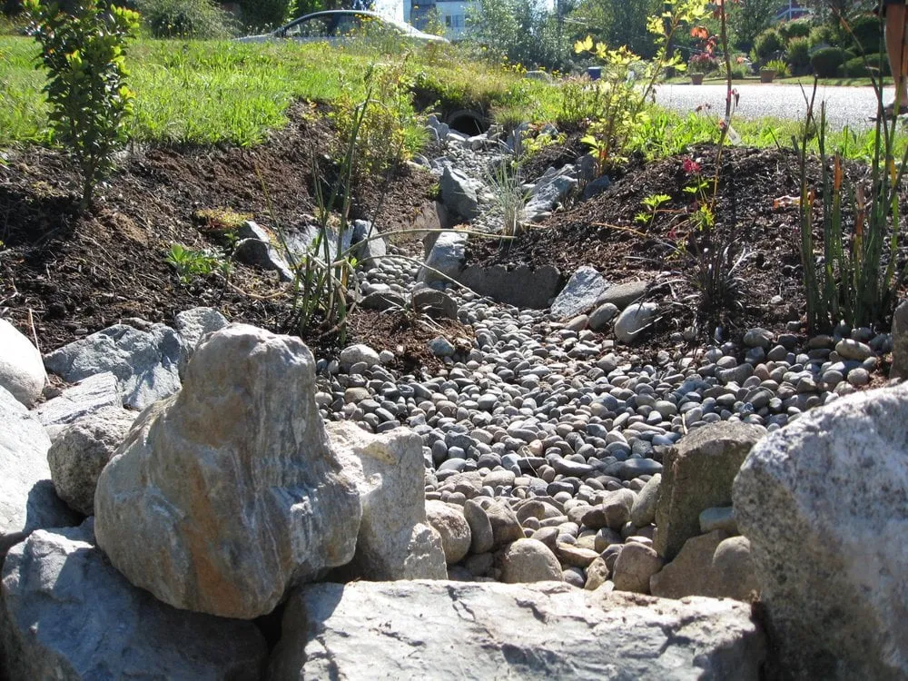 Expert landscape design experts serving Seattle, WA - HomeGrown Organics