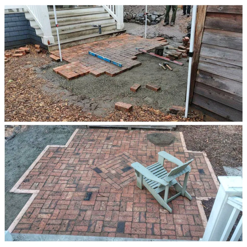 Professional yard cleanup service in Seattle, WA - HomeGrown Organics